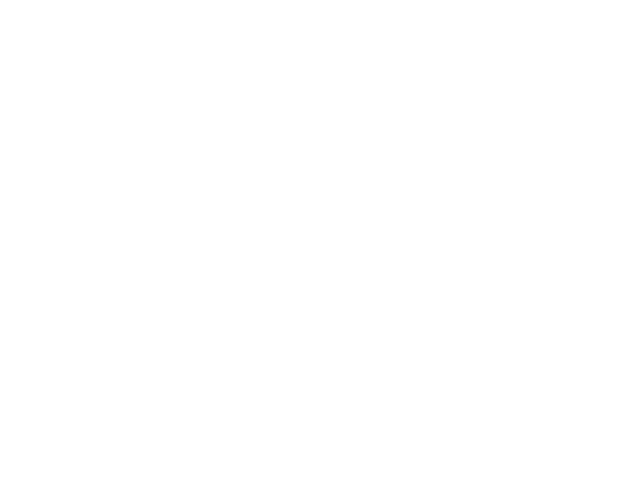 CleverS Plush